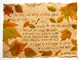 Song 43