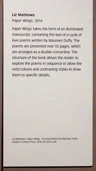 Treasures Gallery caption for Paper Wings